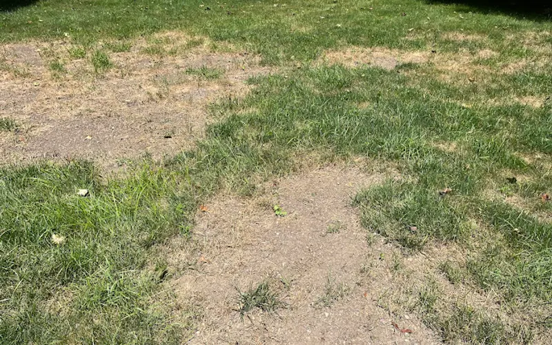 All Season Materials — Landscaper