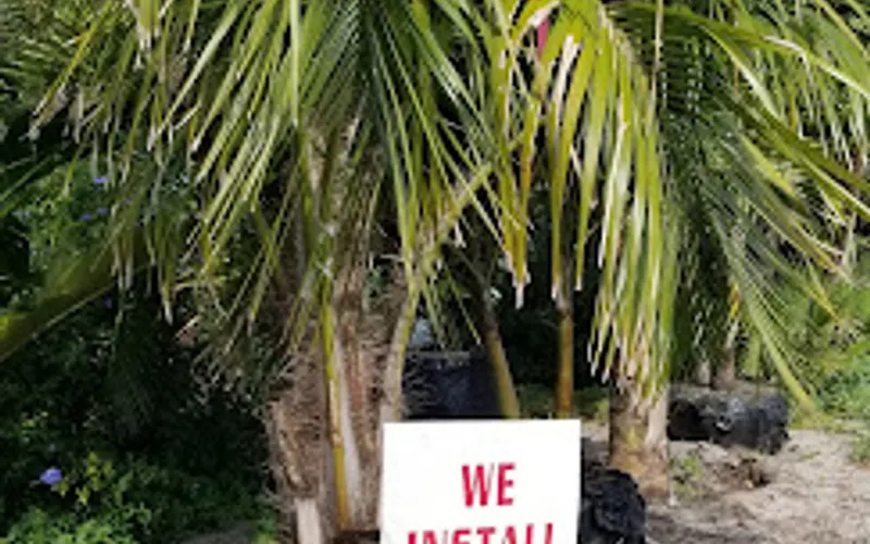 Lee's Tree & Landscaping Nursery — Landscaper