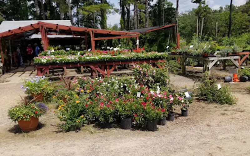 Sammy's Plant World — Plant nursery