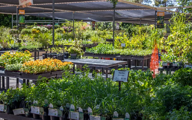 SummerWinds Nursery — Landscaping supply store
