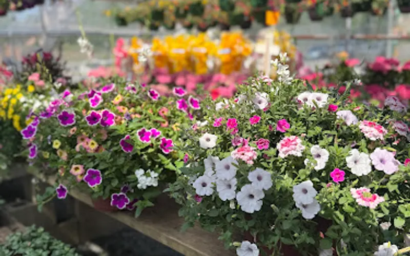 Richmondtown Garden Center — Garden center