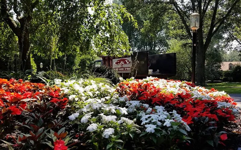 C & V Landscaping Inc — Landscaper
