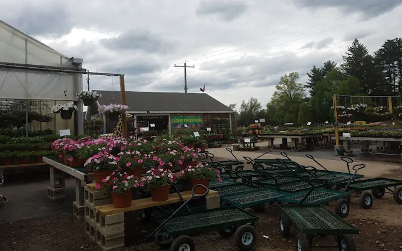 Flower Power Farm — Garden center