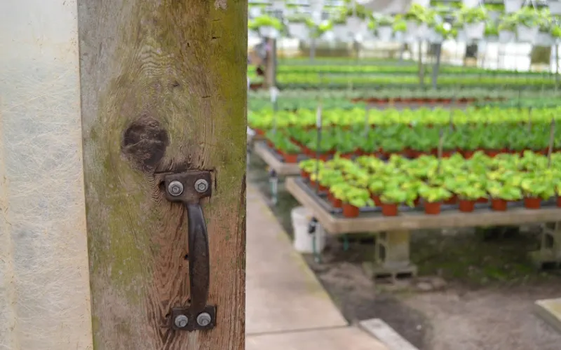 Wekiwa Gardens Inc — Wholesale plant nursery