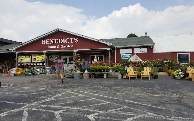 Benedict's Home & Garden — Garden center