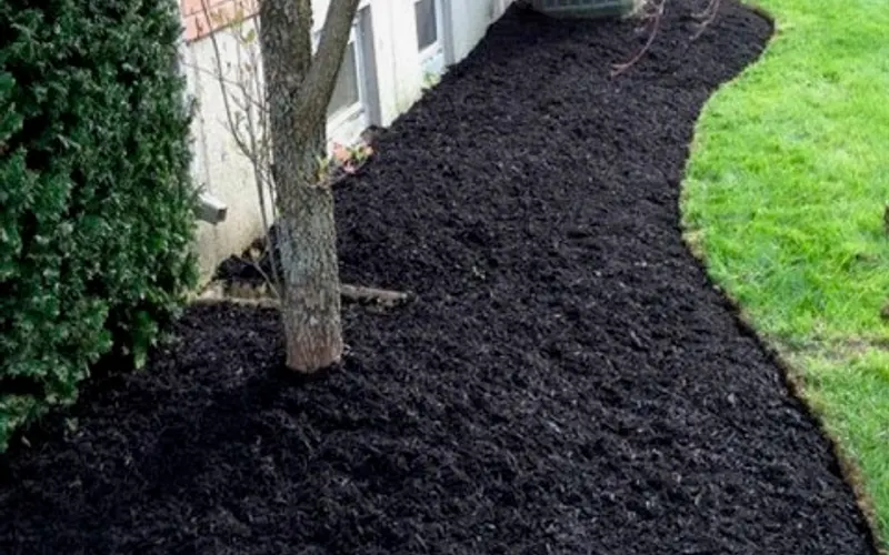 RIVAS LANDSCAPING SERVICES LLC — Proveedor de mantillo