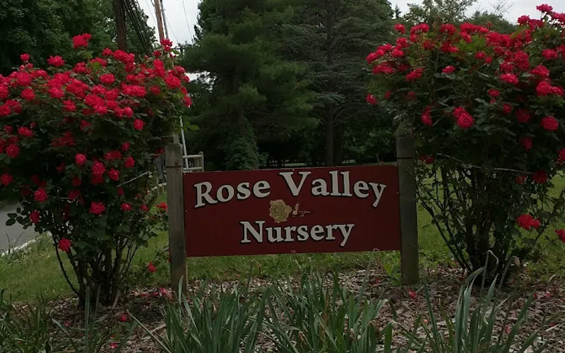 Rose Valley Nursery — Plant nursery