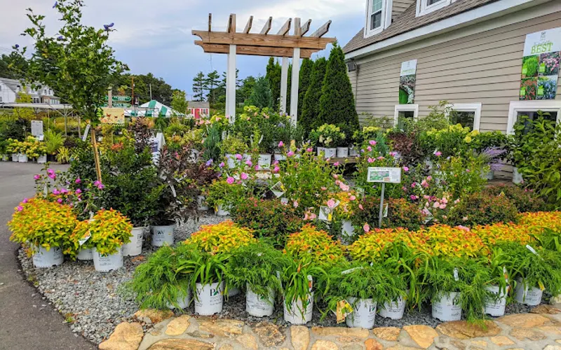 Seoane's Garden Center — Garden center