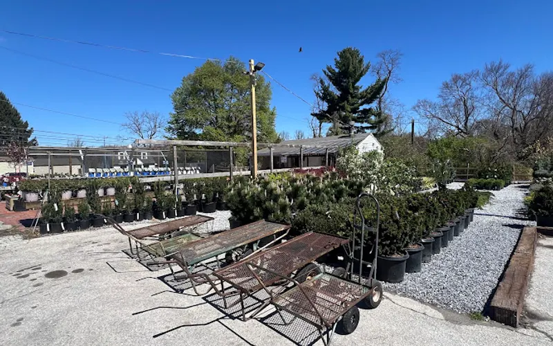 Sauder's Nursery Downingtown — Landscaping supply store