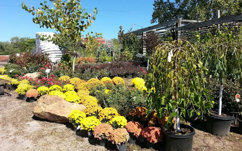 Jerry's Nursery & Landscaping — Plant nursery