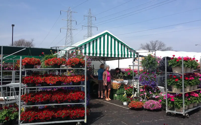 Fruit Of The Bloom Garden Center — Topsoil supplier
