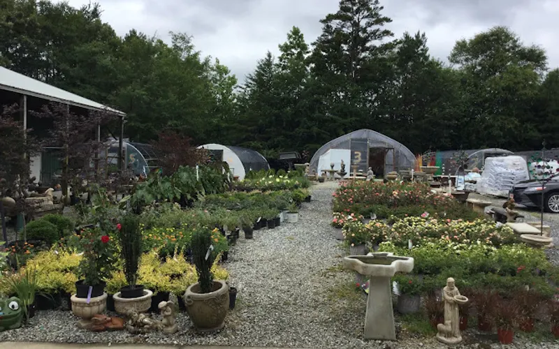 Gunter's Gardens — Garden center