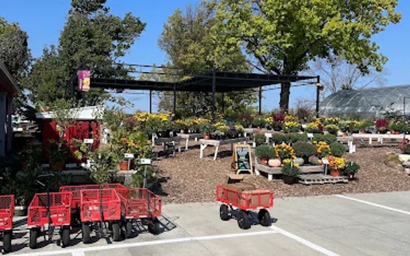 Blooms Garden Center • Nursery, Bistro & Gift Shop — Garden center