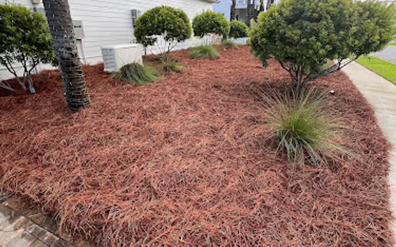 Morales Pine Straw — Mulch supplier