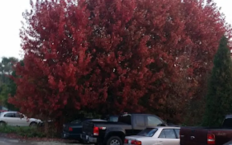 Groh Works Landscaping — Landscaping supply store