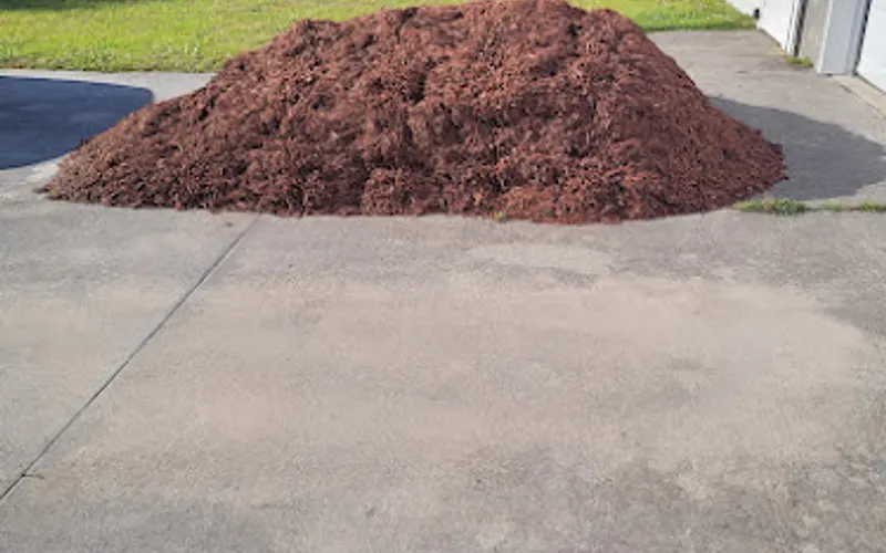 Coastal Land Worx & Maintenance — Landscaper