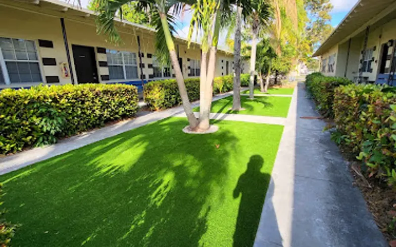 Go Forever Green — Landscape designer