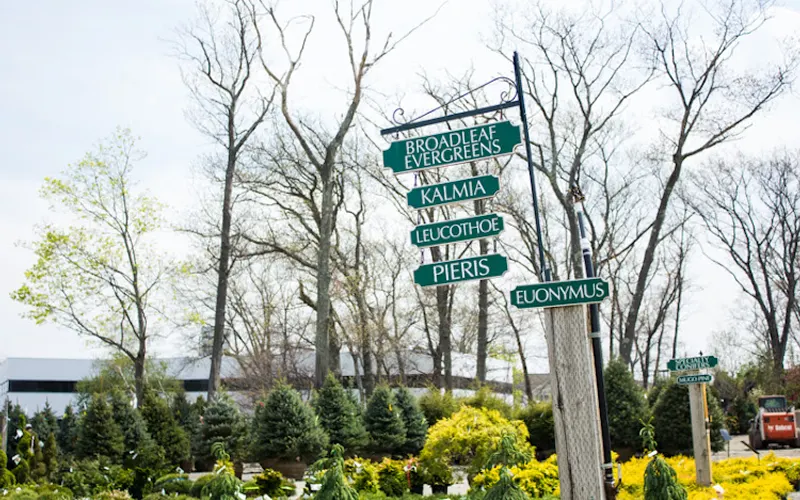 Northeast Nursery Contractor Center — Wholesale plant nursery