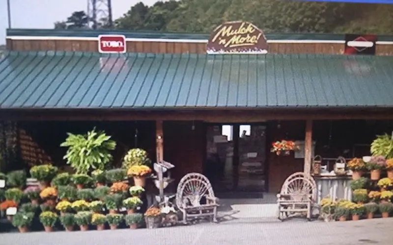 Mulch N' More — Mulch supplier