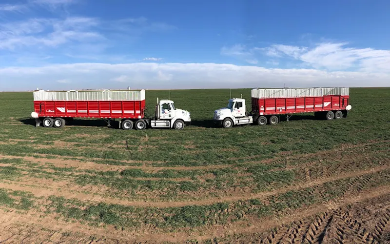 American Compost, LLC — Agricultural service
