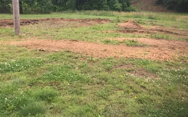 Ivy Brook Land Management LLC — Forestry service