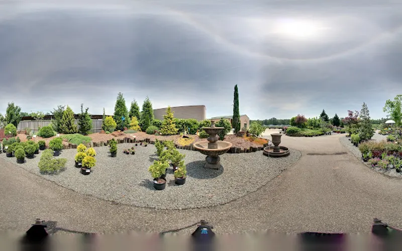 Green Side Up Garden & Gifts — Garden center