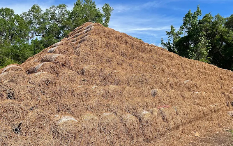 Pacheco Pinestraw Inc — Garden center
