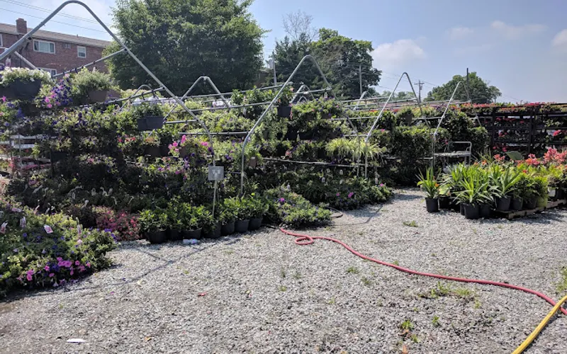 Reading Feed & Garden‎ — Garden center