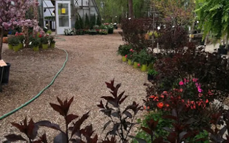 Proscape Inc. - Landscape Design Specialist — Landscape designer