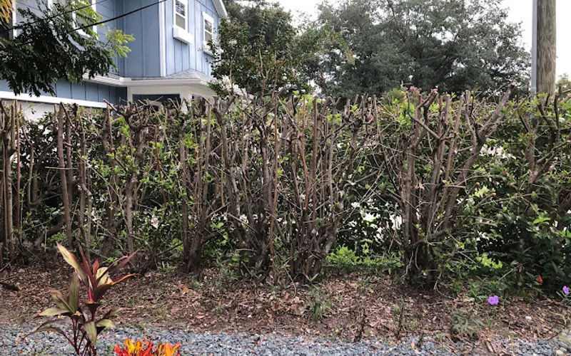 Cj's Lawn Services & Landscaping — Landscaping supply store