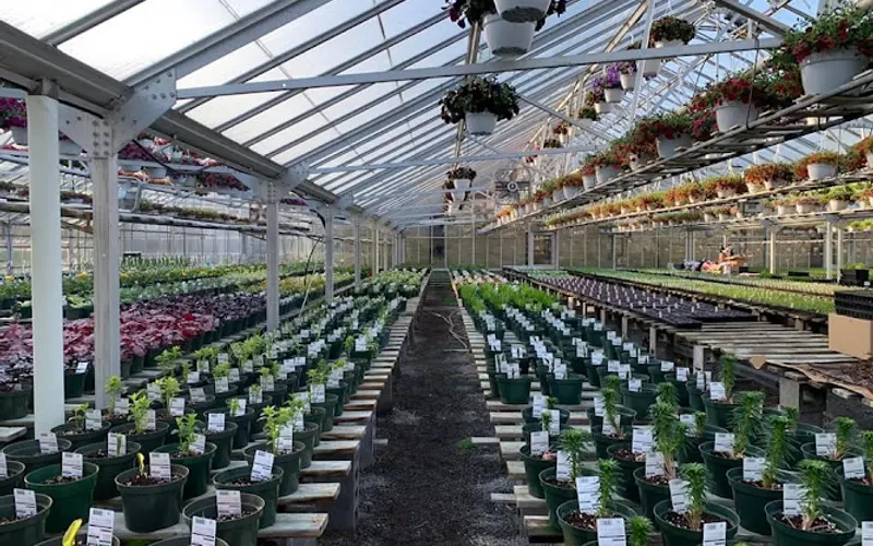 Frailey's Greenhouse & Garden Center LLC — Greenhouse