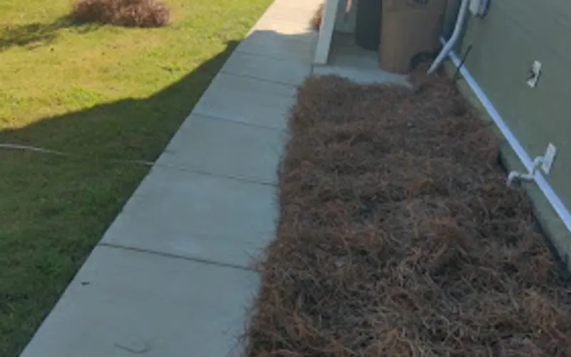 Nicholson Farms LLC PInestraw and Produce — Landscaper