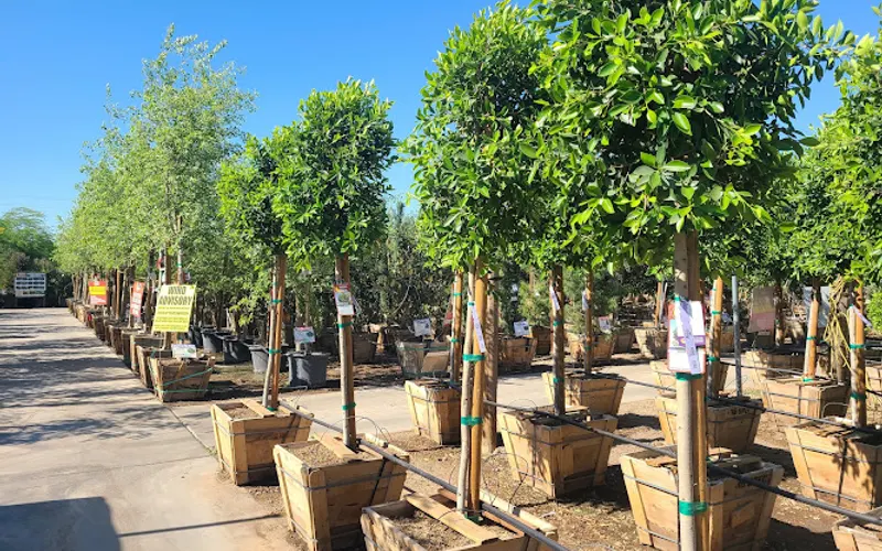 Moon Valley Nurseries — Plant nursery