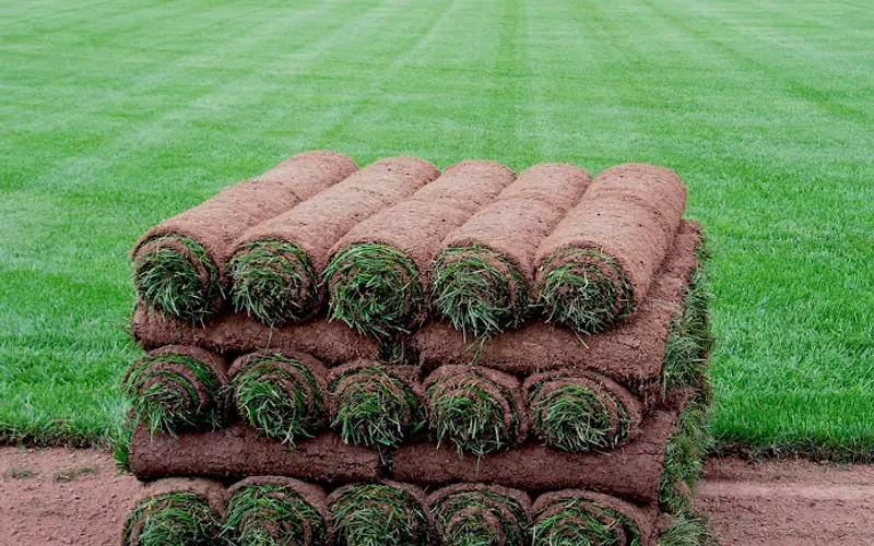 Landscaping Turfection — Contractor