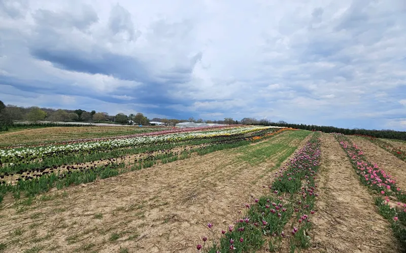Timbuk Farms Retail Greenhouse — Garden center