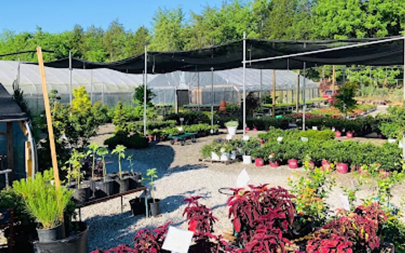 More Than Plants — Garden center
