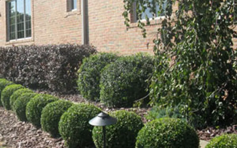 Vance's Landscape Supply, Inc. — Landscaper