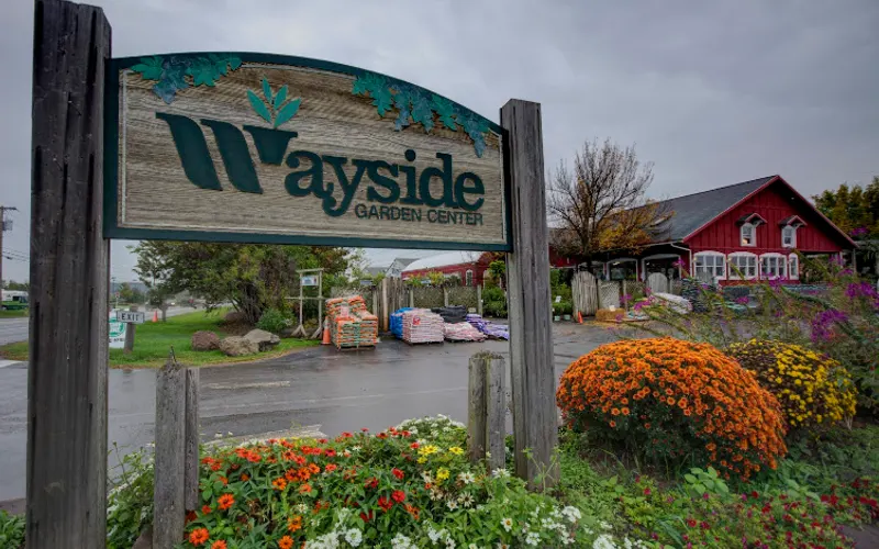 Wayside Garden Center Rochester NY — Garden center