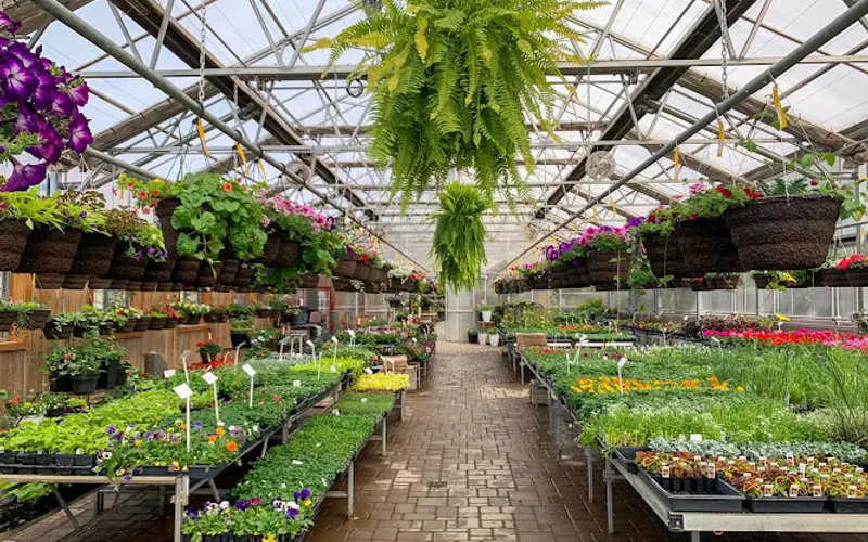 Oakridge Nursery & Landscaping — Landscape designer