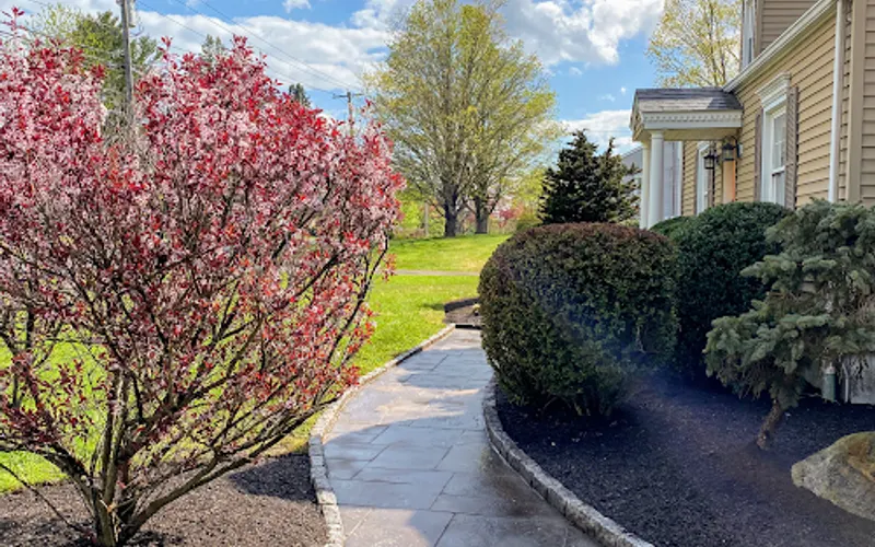 G&G landscaping, tree & lawn service — Lawn care service