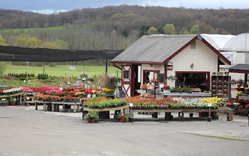 Farmside Garden Center — Garden center