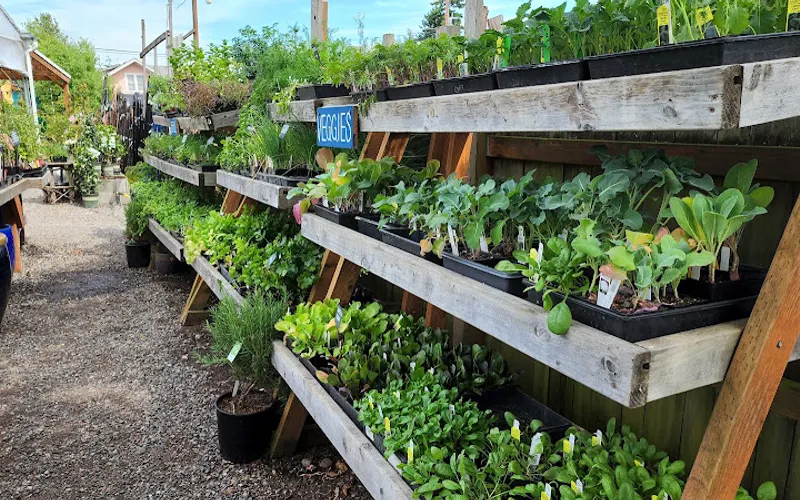 Garden Spot Nursery — Garden center