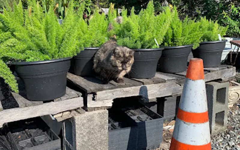 Gunters Greenhouse — Garden center